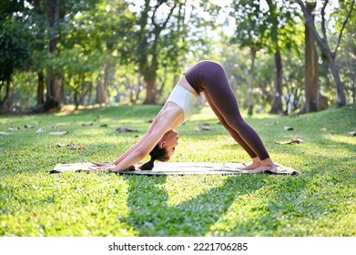Active and charming Asian woman in sportswear practicing Downward dog pose or Downward facing dog yoga pose, training yoga in the green beautiful park. side view