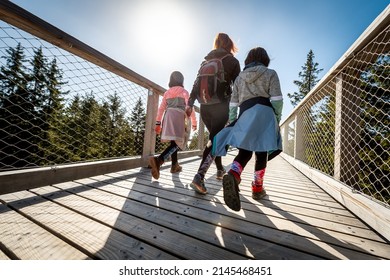Active family walking, hiking in nature on wooden treetop walkway in winter. Family with kids walking mountain treetops on wooden balcony footbridge over the forest on Rogla, Pohorje, Slovenia.