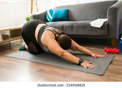 Active Fat Young Woman Doing A Child's Pose. Overweight Hispanic Woman Exercising At Home With Yoga