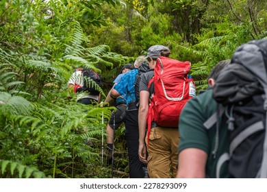 Active holiday on beautiful Madeira island: group of hikers enjoy excursion to wet areas, rain forest in mountains - Powered by Shutterstock