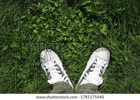 Similar – Person standing on a path with a green leaf nearby