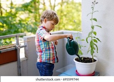 Active Little Preschool Kid Boy Watering Plants With Water Can At Home On Balcony. Little Child Helping Arents To Grow Herbs And Flowers. Happy Preschool Kid