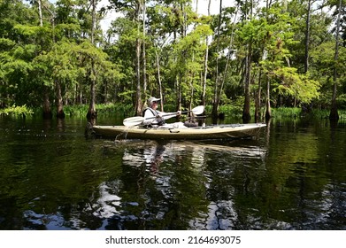 Active Male Senior Kayaking On Fisheating Creek Near Palmdale, Florida On Calm Summer Afternoon.