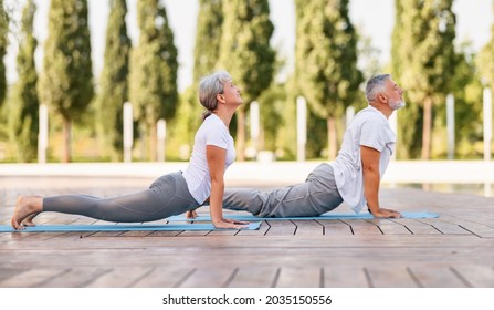 Active mature family man and woman doing yoga exercise stretch their back, taking the cobra pose while exercising in morning on fresh air, senior couple practicing Bhujangasana - Powered by Shutterstock