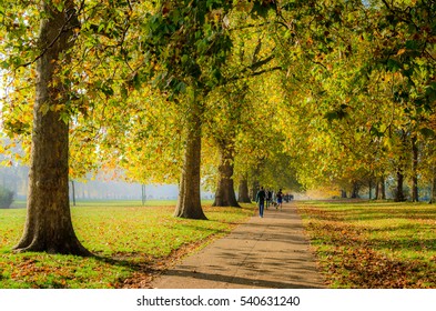 Active People By A Tree Lined Path In Hyde Park In Autumn