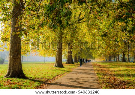 Active people by a tree lined path in Hyde Park in autumn