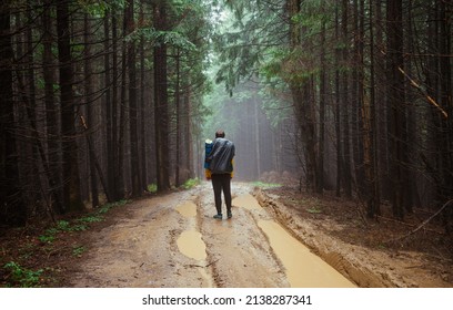 Active rest in the mountains. A man with a backpack on his back walks on a forest road in foggy rainy weather on a hike.