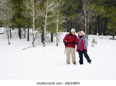 Active Retired Couple In Winter Forest