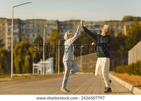 Active senior happy pair running high five, sporty physically energetic older man, woman outdoor jogging. Elderly people street physical exercise, enjoy open air activity to boost mood, energy level