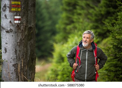 Active Senior Hiking In High Mountains