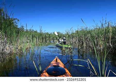 Active senior kayaking amidst tall reeds on Nine Mile Pond in Everglades National Park, Florida on sunny cloudless autumn afternoon.