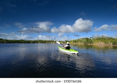 Active Senior Kayaking On Nine Mike Pond In Everglades National Park, Florida On Sunny Winter Afternoon.