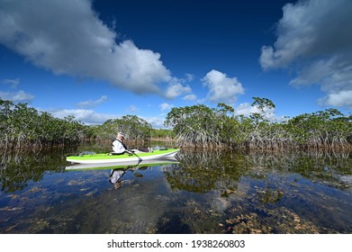 Active Senior Kayaking On Nine Mike Pond In Everglades National Park, Florida.