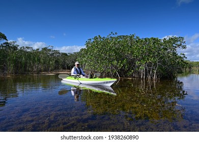 Active Senior Kayaking On Nine Mike Pond In Everglades National Park, Florida.