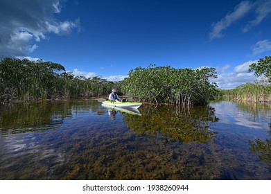 Active Senior Kayaking On Nine Mike Pond In Everglades National Park, Florida.