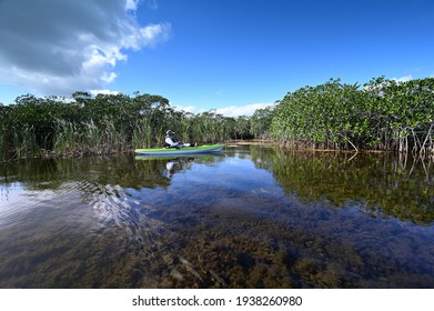 Active Senior Kayaking On Nine Mike Pond In Everglades National Park, Florida.