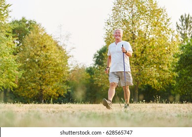 Active Senior Man During Heatlhy Nordic Walk In The Nature