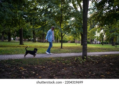 Active Senior Man On Summer Walk With Dog On Path Through Park. Mature Grey Bearded Man And Mixed Bread Dog Walking In Park. Profile Shot Of A Guy Walking His Dog In A Park On A Sunny Day