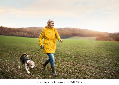 Active Senior Woman With Dog On A Walk In A Beautiful Autumn Nature.