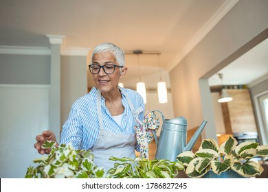 Active senior woman enjoying planting. Senior woman planting flowers. Senior woman plant care at home. Portrait Of Happy Mature Arranging Potted Plants - Powered by Shutterstock