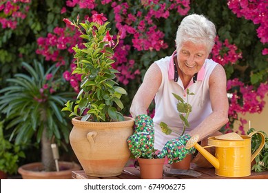 Active Senior Woman Gardening Potting Plants