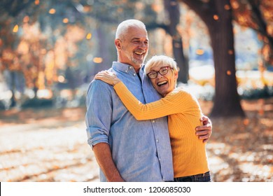 Active seniors on a walk in autumn forest