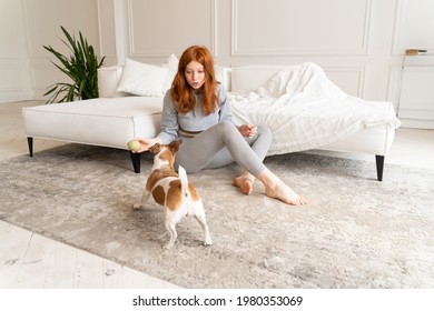 Active Small Funny Dog Waiting For Ball Fetch. Red Hair Young Girl In Grey Home Comfortable Clothes. Sunny  Spacious Living Room With White Sofa And Carpet Girl Sits On Floor. Weekend  Mood