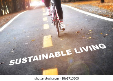 Active And Sustainable Living, Keep Moving Concept And Healthy Lifestyle Idea