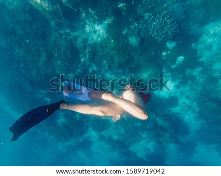 Active tourist in red bikini diving to sea depth enjoying extreme hobby during Indonesian vacations, female in flippers snorkeling to coral reefs having fun during scuba swimming on Bahamas