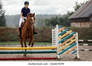 Active Woman Girl Jockey Training Riding Horse Jumping Over Fence. Equestrian Sport Competition And Activity.