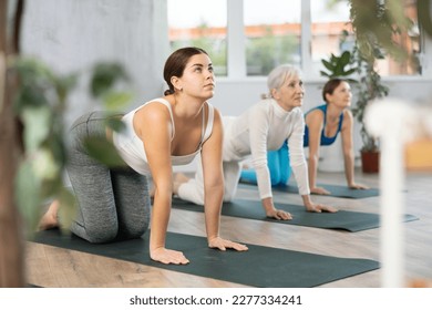 Active women of different ages in sportswear performing Bitilasana or Cow Stretch position on fours during yoga workout on mats in fitness center - Powered by Shutterstock