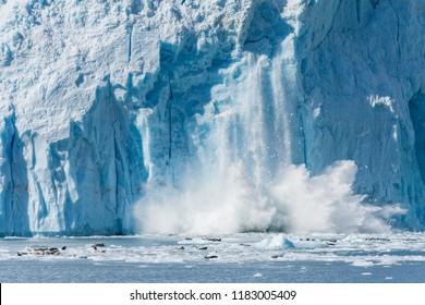 An Actively Calving Glacier with Wildlife