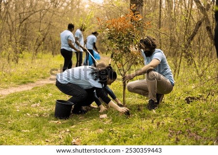 Activists group doing voluntary work to grow trees in the forest, covering holes in the ground with seedlings to increase vegetation. Contributing to reforestation mission, community outreach.