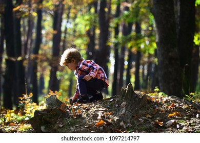 Activity and active rest for kid. Small boy play in autumn forest. Autumn vacation and camping. Little prince in fairy tale woods. Child play on fresh air outdoor.