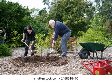 Actor Brian Cox And FOREST Director Dmitry Melkin Plant A Betula Schmidtii Tree At The Botanical Gardens Edinburgh During The Forest Photo Call At The Edinburgh Fringe Fringe Festival On 2 August 2019