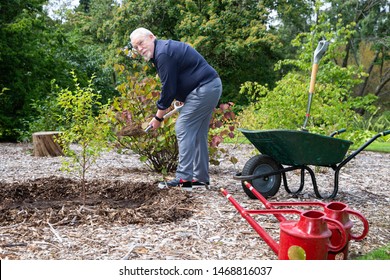 Actor Brian Cox Plants A Russian Betula Schmidtii Tree At The Royal Botanical Gardens Edinburgh During The Forest Photo Call At The Edinburgh Fringe Fringe Festival On 02 August 2019