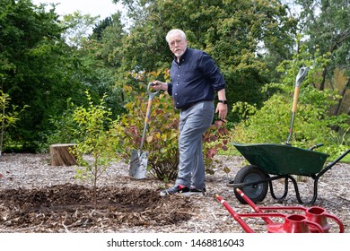 Actor Brian Cox Plants A Russian Betula Schmidtii Tree At The Royal Botanical Gardens Edinburgh During The Forest Photo Call At The Edinburgh Fringe Fringe Festival On 02 August 2019