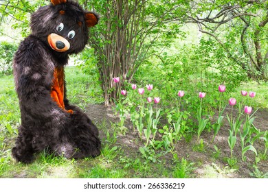 actor dressed as bear savors tulips against the background of green bushes