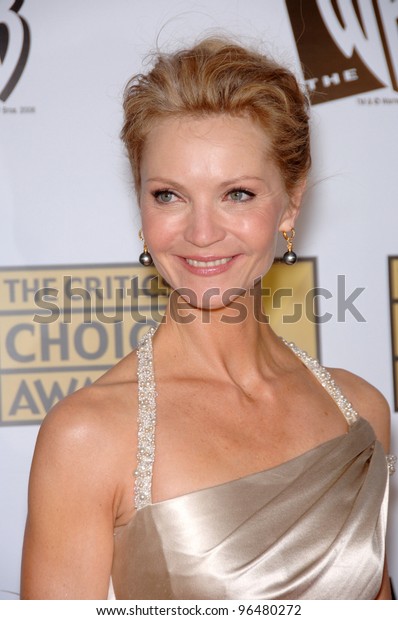 Actress Joan Allen 11th Annual Critics Stock Photo 96480272 | Shutterstock