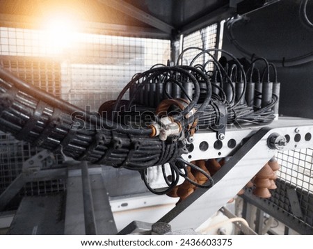 Actuator pneumatic system on the Automatic eggs candling machine.Hatchery technology.