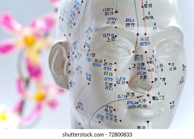 Acupuncture Head Model