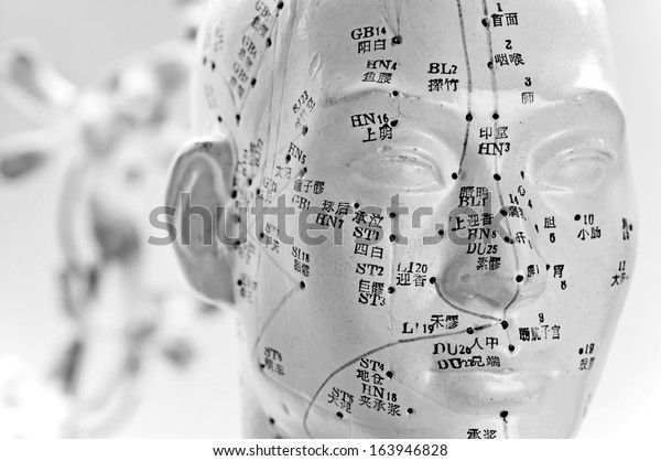 Acupuncture head\
model