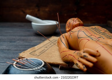 Acupuncture models and medical books are on the table. Chinese character translation：Acupuncture is a traditional Chinese medical method. - Shutterstock ID 2102202397