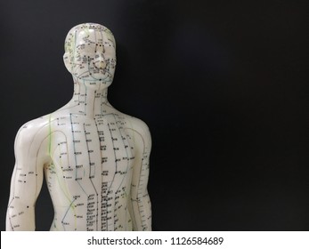 Acupuncture point models on black screen background for Traditional Chinese Medicine (针灸治疗 / 针灸模型 / 繁体中文)
