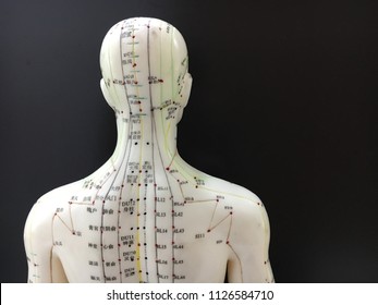 Acupuncture point models on black screen background for Traditional Chinese Medicine
(针灸治疗 / 针灸模型 / 繁体中文)