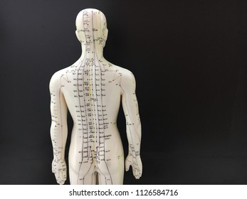 Acupuncture point models on black screen background for Traditional Chinese Medicine
(针灸治疗 / 针灸模型 / 繁体中文)