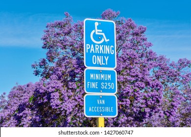 ADA Handicapped Sign: Parking Only (with Handicapped Wheelchair Symbol) Marks Accessible Parking Space. Minimum Fine Warning Sign. Blooming Jacaranda Tree In Background On Outdoor  Parking Lot.