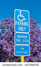 ADA Handicapped Sign: Parking Only (with Handicapped Wheelchair Symbol) Marks Accessible Parking Space. Minimum Fine Warning Sign. Blooming Jacaranda Tree In Background On Outdoor  Parking Lot.