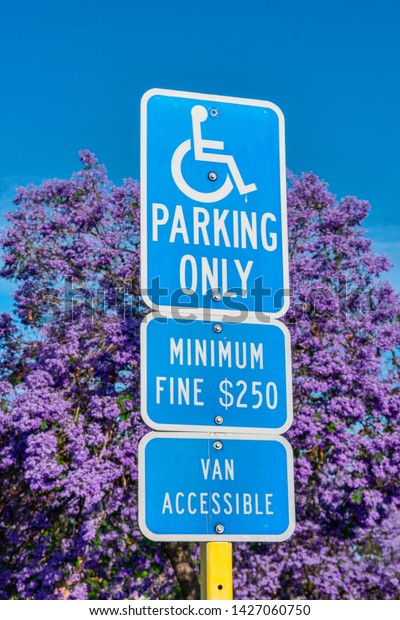 ADA\
handicapped sign: parking only (with handicapped wheelchair symbol)\
marks accessible parking space. Minimum fine warning sign. Blooming\
jacaranda tree in background on outdoor  parking\
lot.