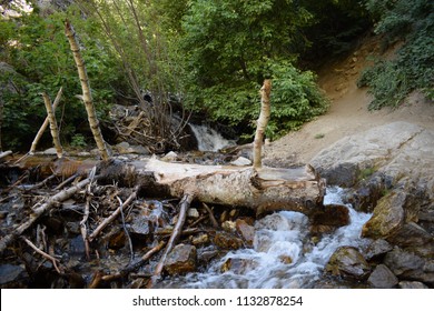 Adams Canyon Hike Layton Utah 